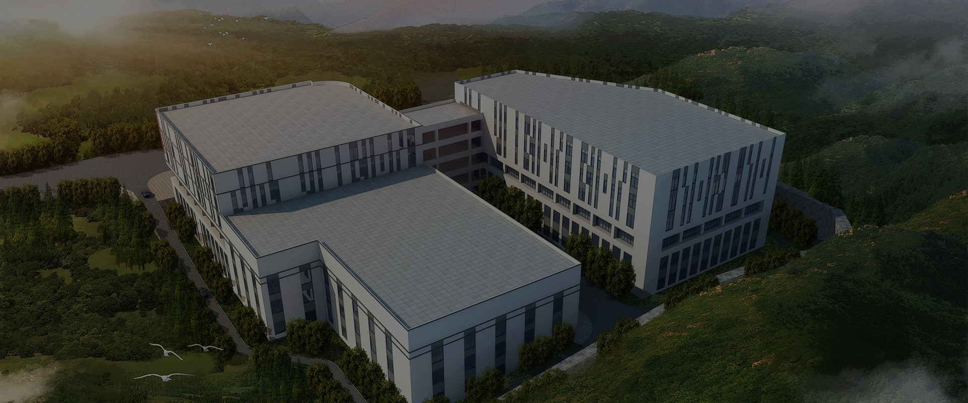 ���_(d��)���������ò��������I(l��ng)����